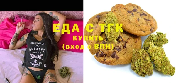 хмурый Алзамай