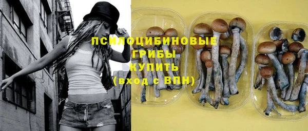 а пвп мука Абаза